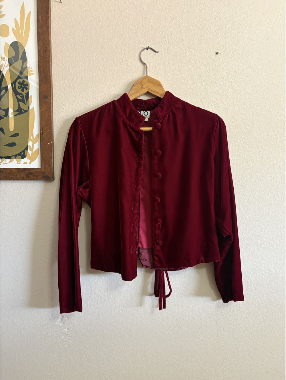 Bright Red Velvet Button Down Crop Top Vintage